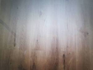 lot 186 image: 5 Cases Home Decorators Collection ...