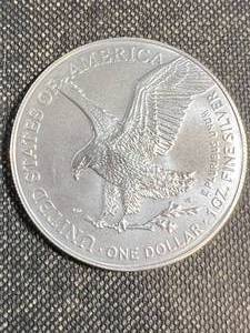 2024 AMERICAN SILVER EAGLE 1 TROY OZ .999 FINE SILVER