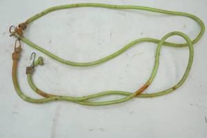 Two Bungee Cords