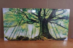 lot 148 image: Kreative Arts XLarge Canvas Spring Forest Print 24x48