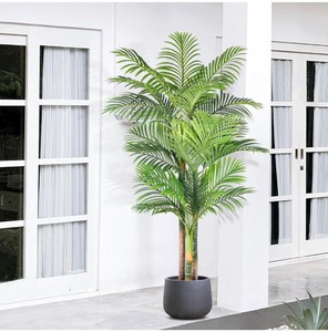 lot 80 image: Keeplush 6 Artificial Fall Triple Golden Cane Palm Tree