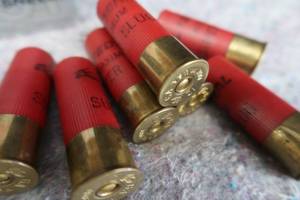 lot 41 image: 12 GAUGE SHOTGUN SHELLS