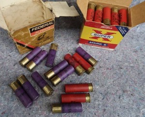 lot 42 image: 16 GAUGE SHOT GUN SHELLS