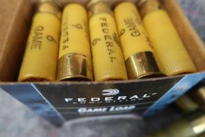 lot 43 image: LARGE LOT OF 20 GAUGE ASSORTED SHELLS.