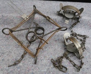 lot 46 image: DUKE TRAPS