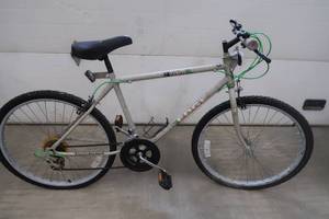 lot 98 image: ROADMASTER 10 SPEED
