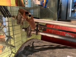 Old horn