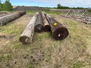 4 - High Line Poles, Treated