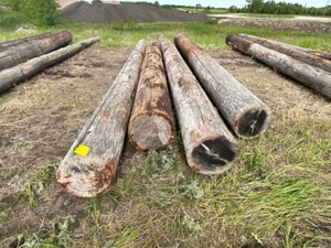 4 - High Line Poles, Treated