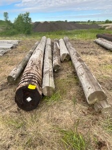 6 - High Line Poles, Treated