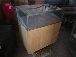 (GRG) Vintage Display Case with Low...