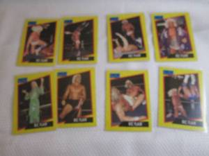 Assorted Ric Flair Cards...