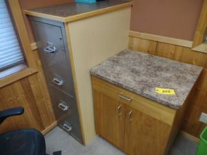 lot 355 image: Cabinet & Fire Proof File...