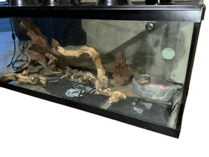 lot 155 image: 55 GALLON FISH TANK W MANY EXTRAS HEATING LAMPSMATT WOOD BOWLS ...