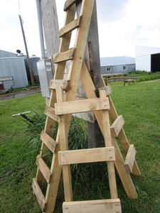 Three Custom Made Ladders