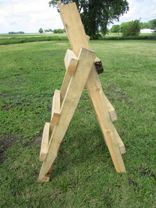 Two Custom Made Ladders