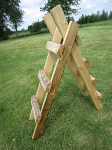 Two Custom Made Ladders