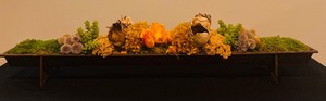 lot 50 image: Beautiful Tray with Moss, Yellow Roses and More
