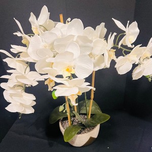 lot 51 image: Gorgeous White Orchid Faux Flower in Cement and Gold Pot