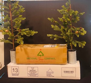 lot 150 image: Four Christmas Trees of Different Sizes