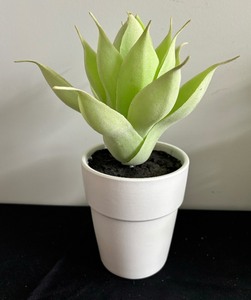 lot 224 image: Beautiful Faux Greenery
