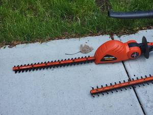 lot 253 image: Black & Decker Electric Lawn Edger