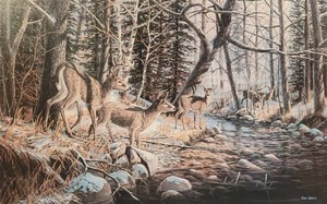 lot 53 image: Peaceful Fine Art Naturalist Print - Ken Zylla - 625800 - Deerwood