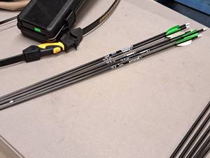 lot 7 image: Lot of (5) Gold Tip Lightning Arrows w Tips