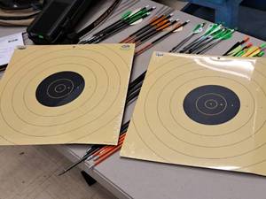 lot 19 image: Lot of (2) Dirty Bird High Powered Splattering Targets 5-pack