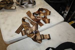 lot 410 image: Lot of (2) Tree Belts