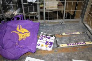 lot 427 image: Assorted Minnesota Vikings Memorabilia - License Plate, Stickers, Frame, Bag