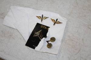 lot 447 image: Lot of (4) Assorted Military Pins