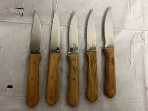 lot 165 image: 5 Stainless Steel Kitchen Utility Knife - 5 Blade