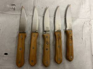 lot 160 image: 5 Stainless Steel Kitchen Utility Knife - 5 Blade