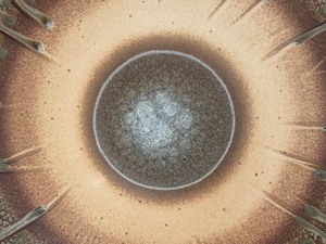 lot 29 image: Artisan 20 Pottery Platter