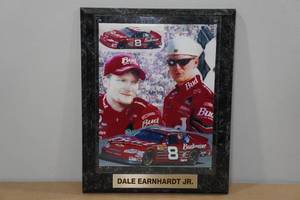 lot 157 image: Nascar Dale Earnhardt Jr Plaque