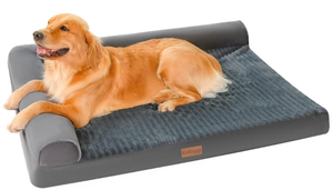 X-Large Dog Bed, Orthopedic Dog Beds for Large Dogs, Measures 26 x 35