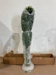 Natural Double Robellini Palm Tree UV Resistant