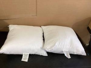 LOT OF 2 Pillows