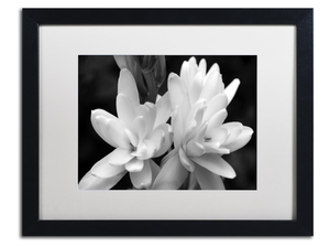 LOT OF 2 Tuber Rose in Black and White by Kurt Shaffer, White Matte, Black Frame