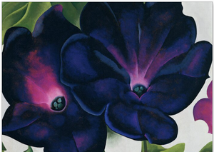 Black And Purple Petunias,Georgia OKeeffe Poster Canvas Wall Art,