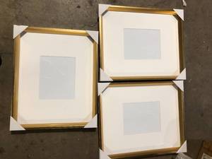 Calter 16 in. x 20 in. Matted to 8 in. x 10 in. Gold Picture Frame (Set of 3) by Kate and Laurel   Customer Returns See Pictures