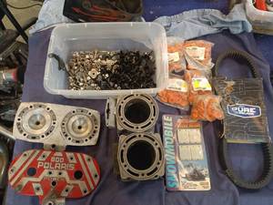Power Reeds for a 94-97 Indy Storm 800, Polaris Belt, Studs, and Other Polaris Engine Parts