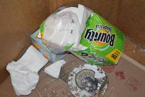 DAMAGED - Assorted Lot - See Pictures