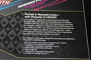 Pokemon Morpeko V-Union Premium Treasures Collection Sealed Box