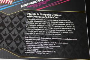 Pokemon Morpeko V-Union Premium Treasures Collection Sealed Box
