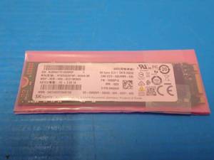 lot 80 image: SK Hynix 256GB SSD