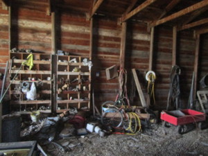 lot 41 image: Contents of Southwest Shop Wall (see all pics)