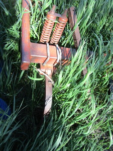 lot 9-C image: IH 12 3 Point Chisel Plow