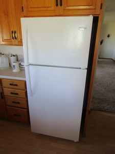 lot 48 image: Frigidaire Refrigerator